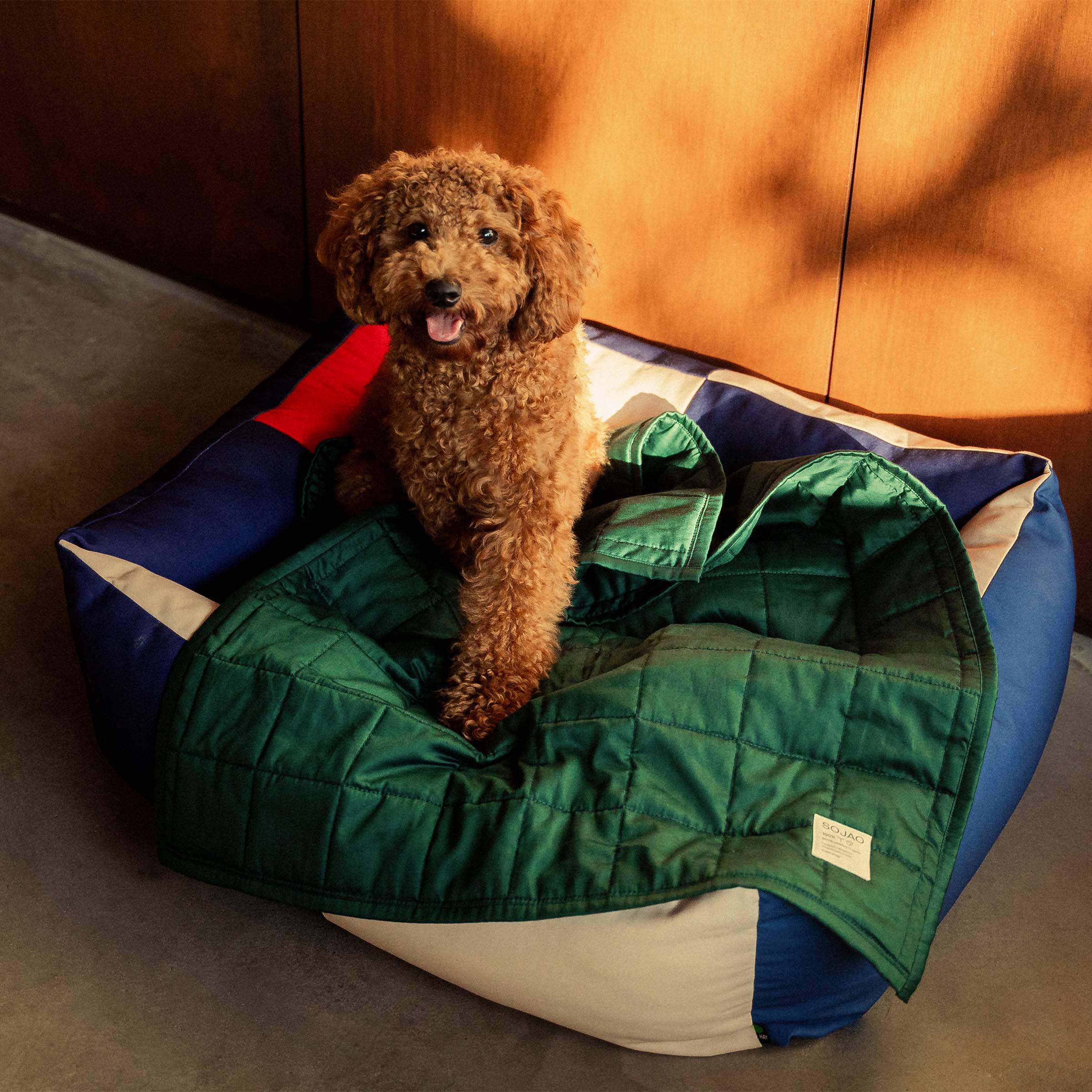 Organic Cotton Pet Quilts