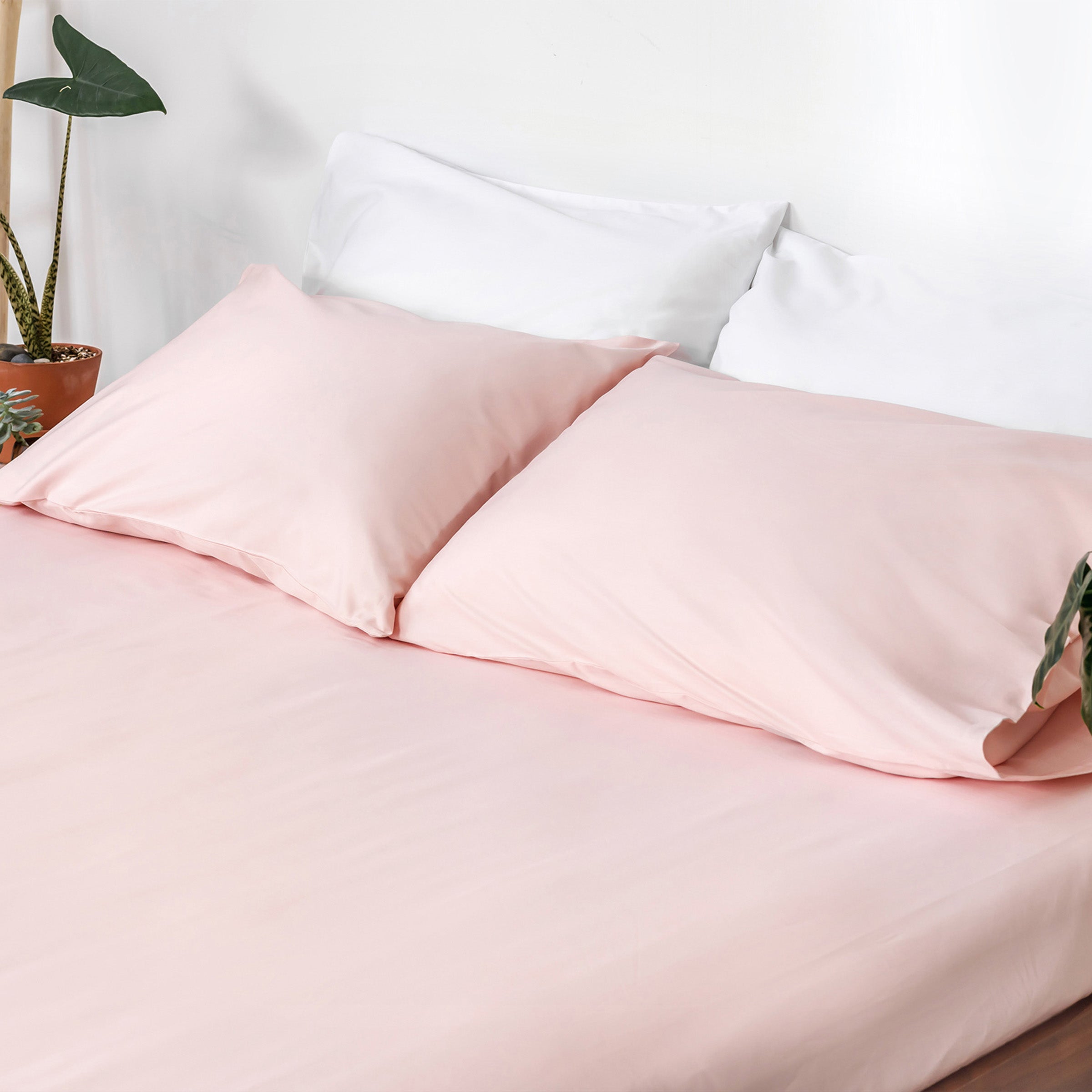 Classic Blush Fitted Sheet (Last Call)