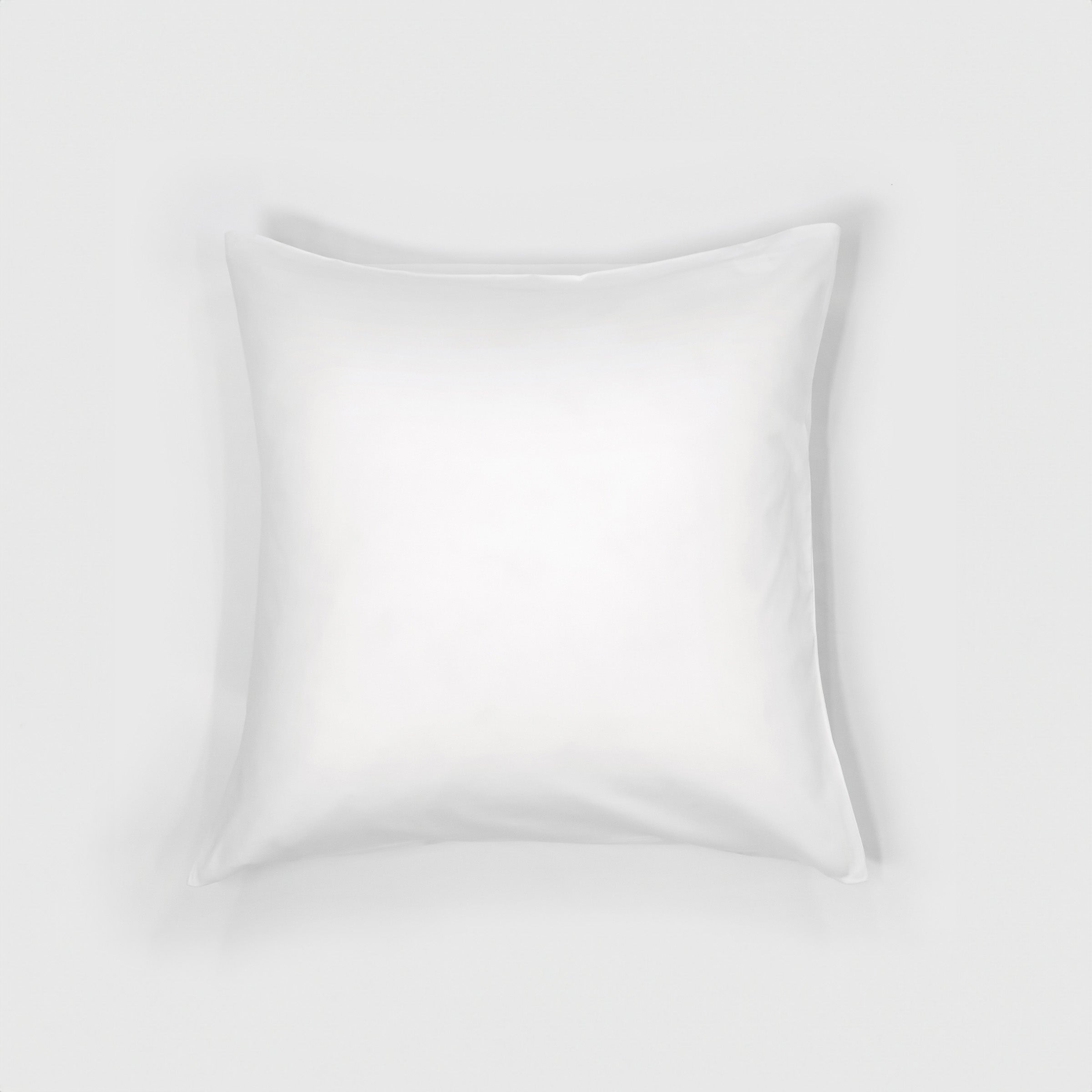 Classic Euro Sham Case Pair