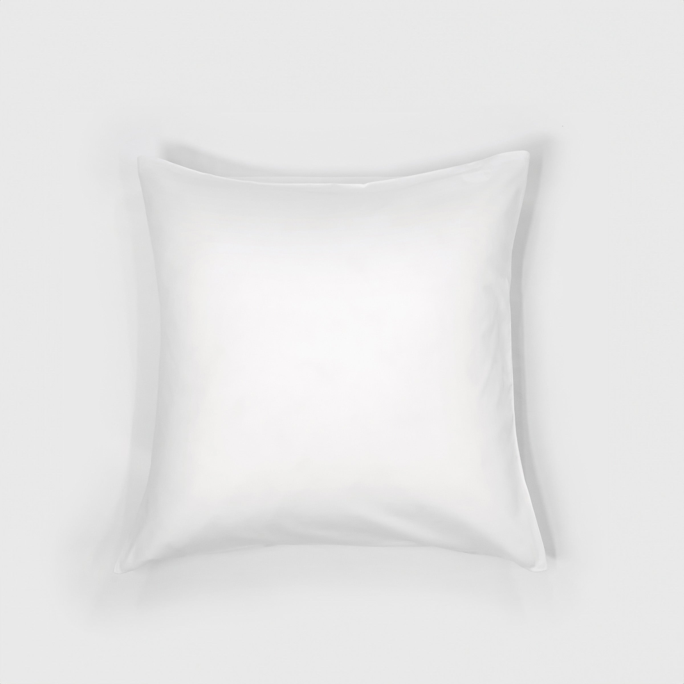 Crisp Euro Sham Case Pair