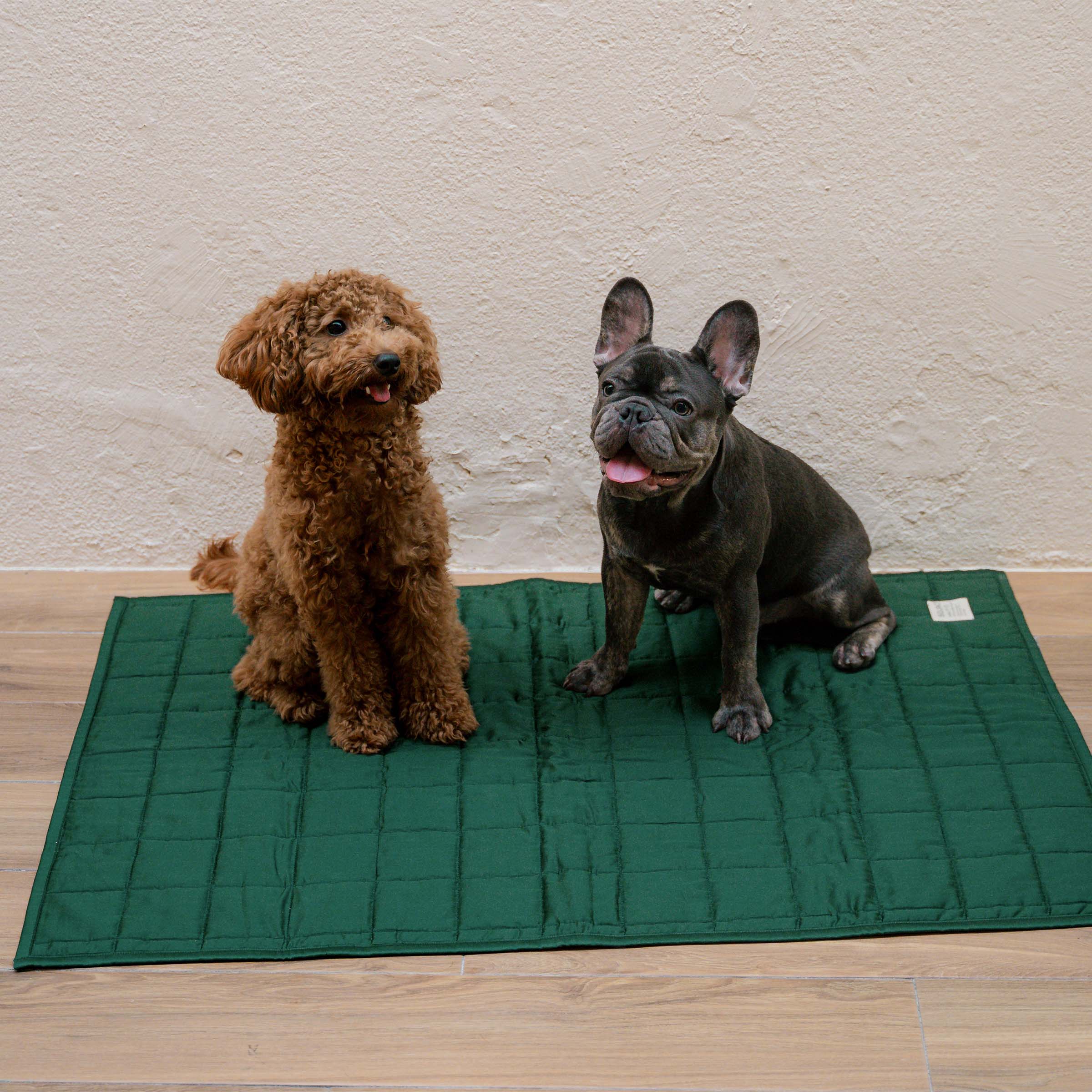 Organic Cotton Pet Quilts