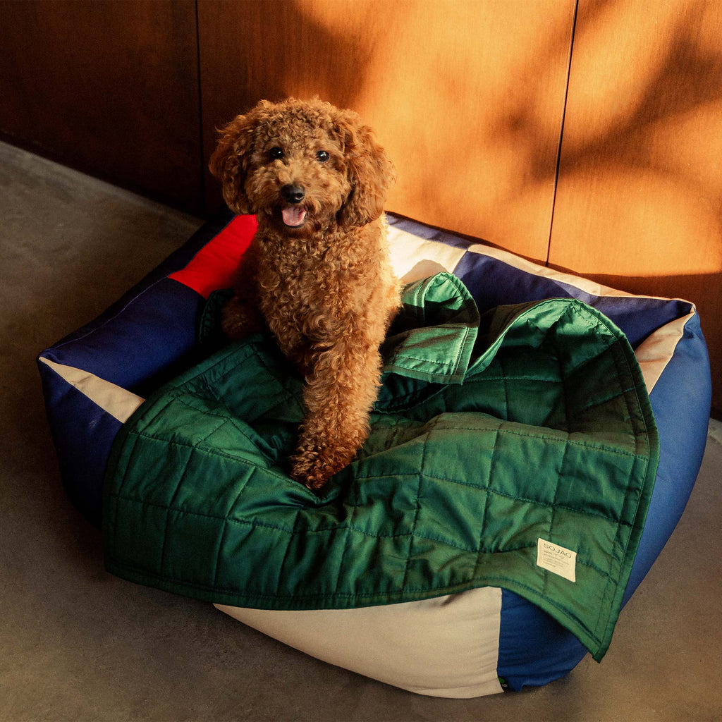 Organic Cotton Pet Quilts