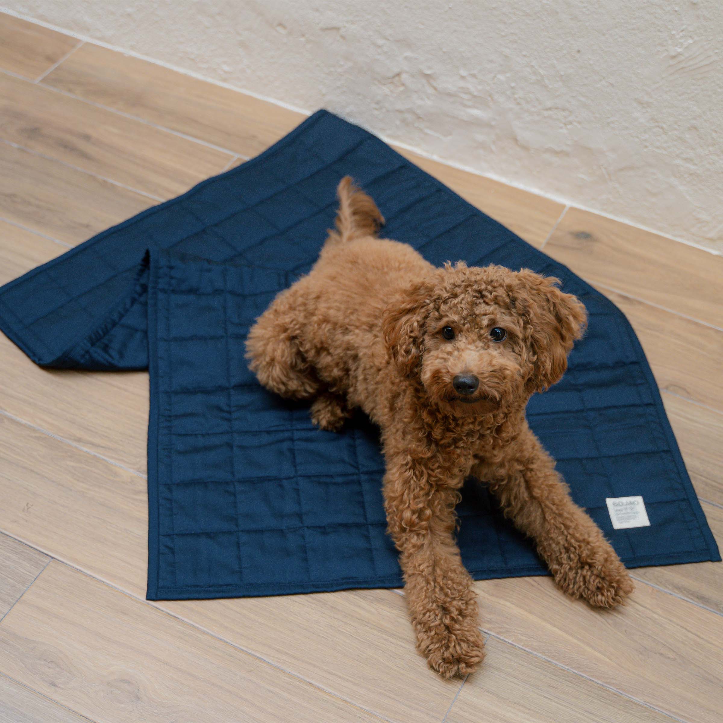Organic Cotton Pet Quilts